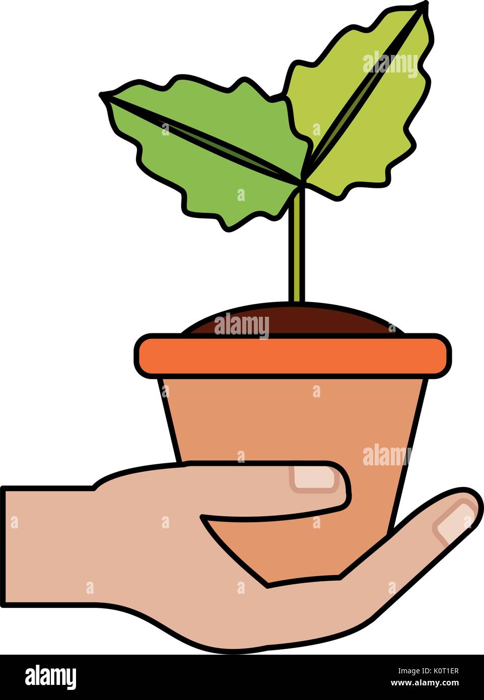Plant in pot Stock Vector Image & Art - Alamy