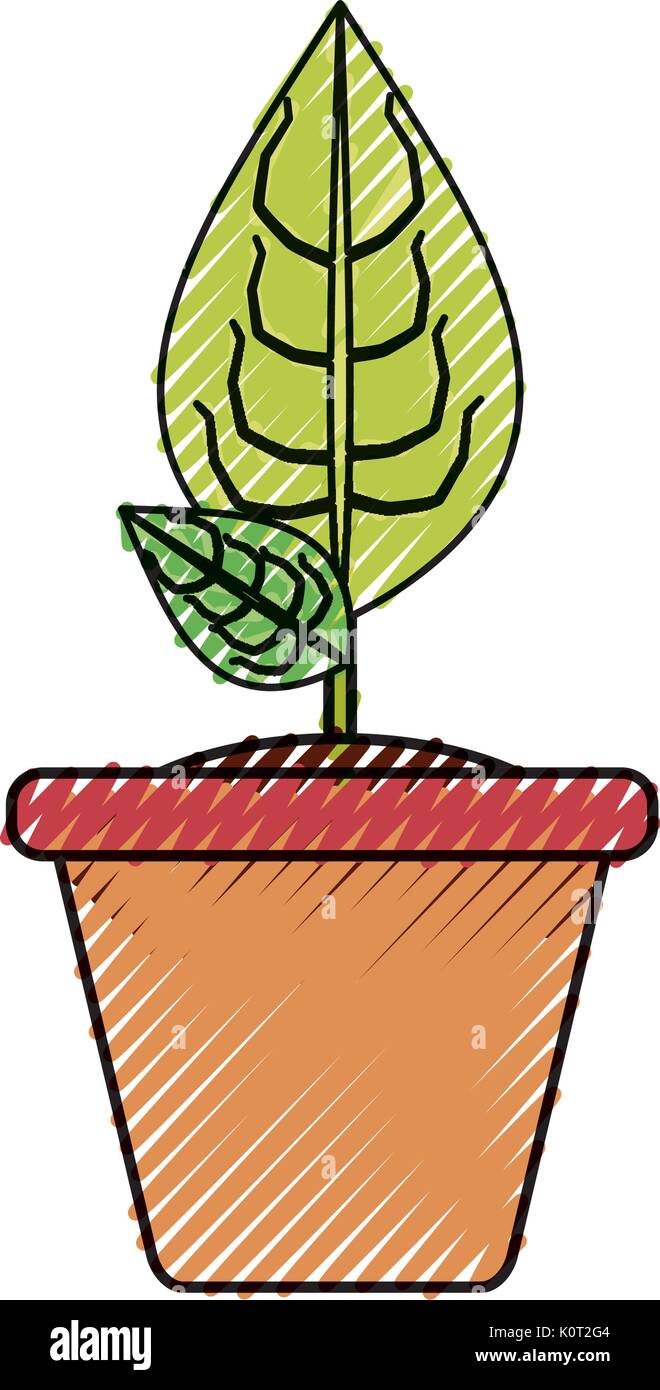 Plant in pot Stock Vector Image & Art - Alamy