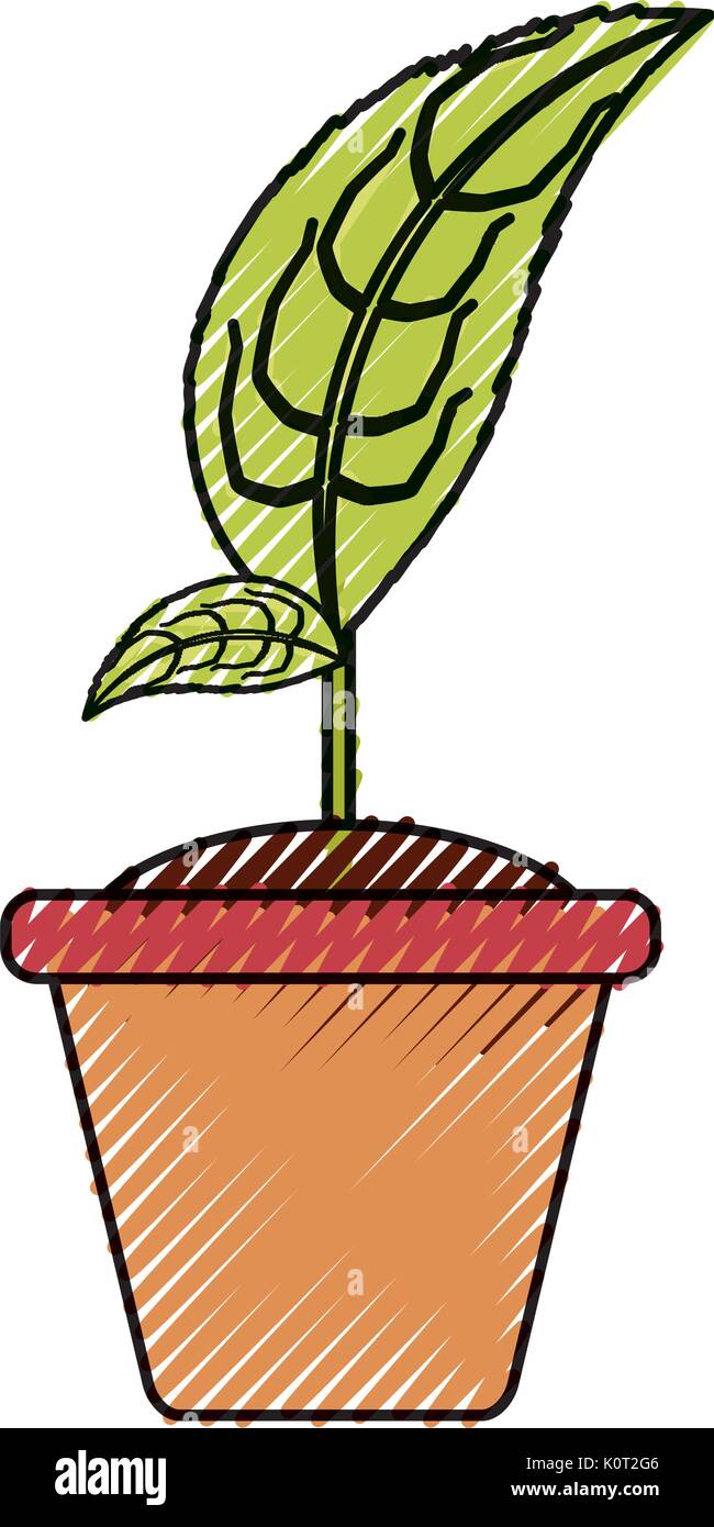 Plant in pot Stock Vector Image & Art - Alamy