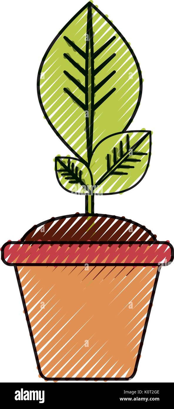 Plant in pot Stock Vector Image & Art - Alamy