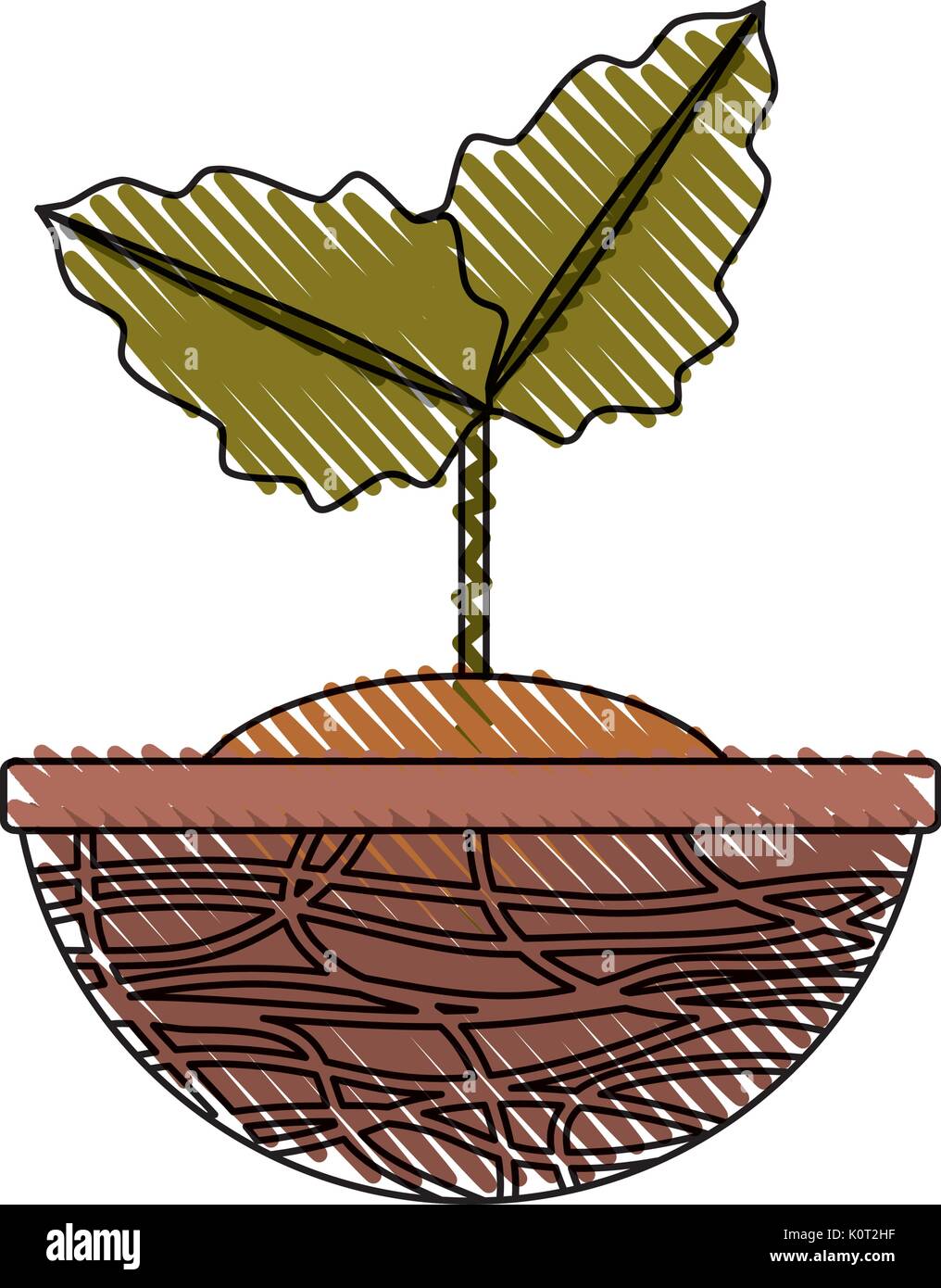 Plant in pot Stock Vector Image & Art - Alamy