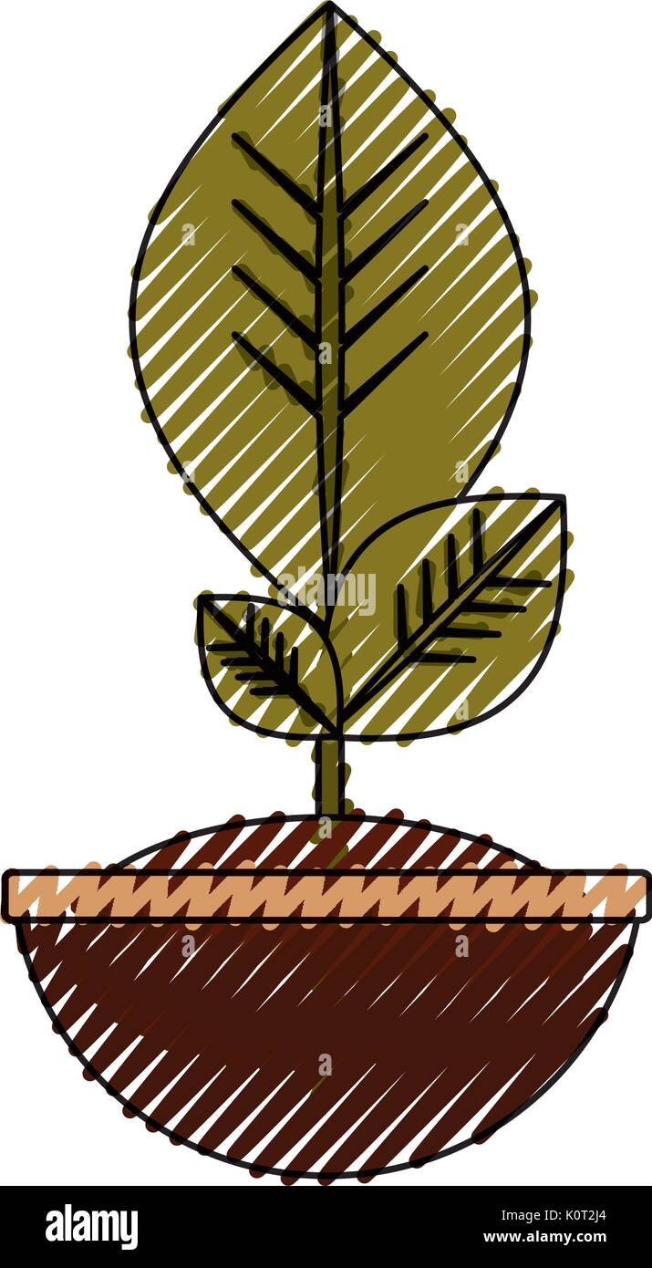 Plant in pot Stock Vector Image & Art - Alamy