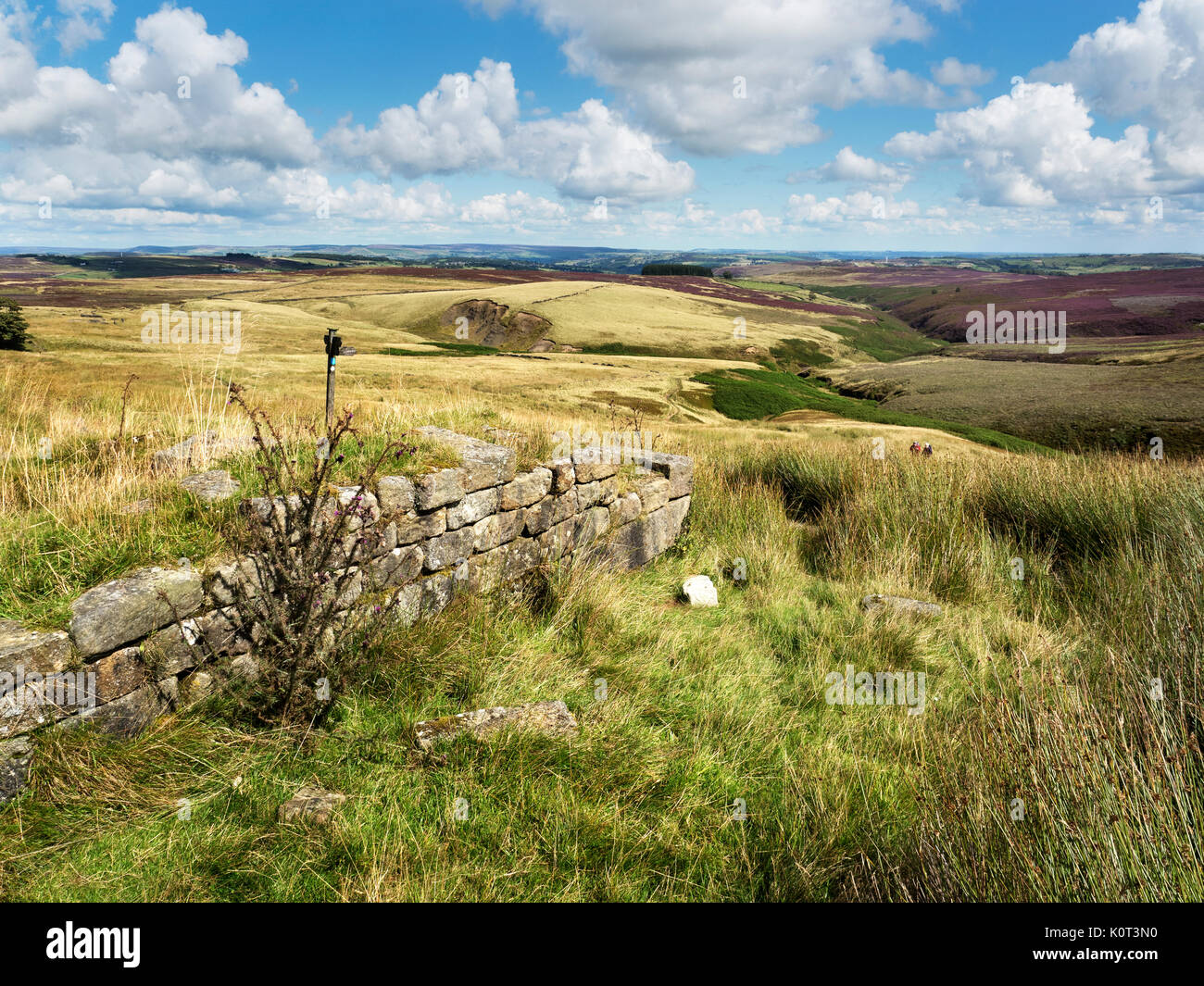 Ruined Wall at Top Withins on Haworth Moor Haworth West Yorkshire England Stock Photo