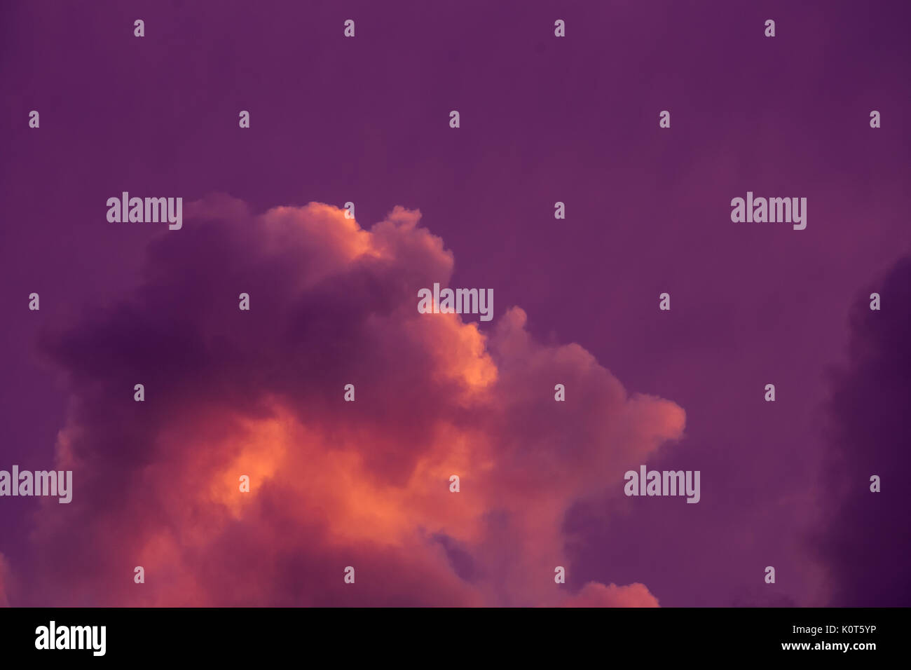 Beautiful pink and purple sky with clouds hi-res stock photography and ...