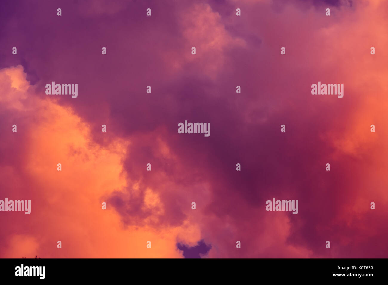 Beautiful pink and purple sky with clouds hi-res stock photography and ...