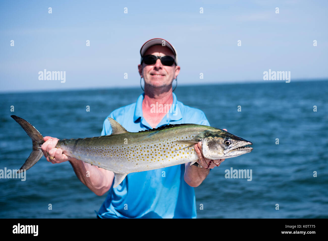 Spanish mackerel hires stock photography and images Alamy
