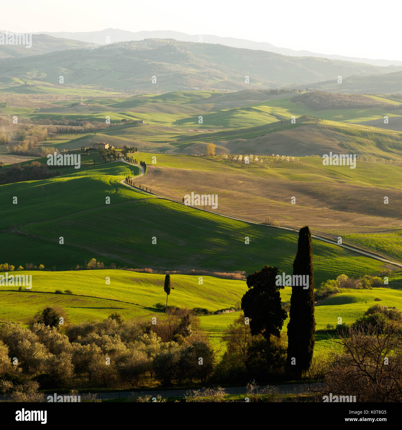 Val d'Orcia landscape at sunset from the town of Pienza (Siena). Italy, 2017. Squared format. Stock Photo