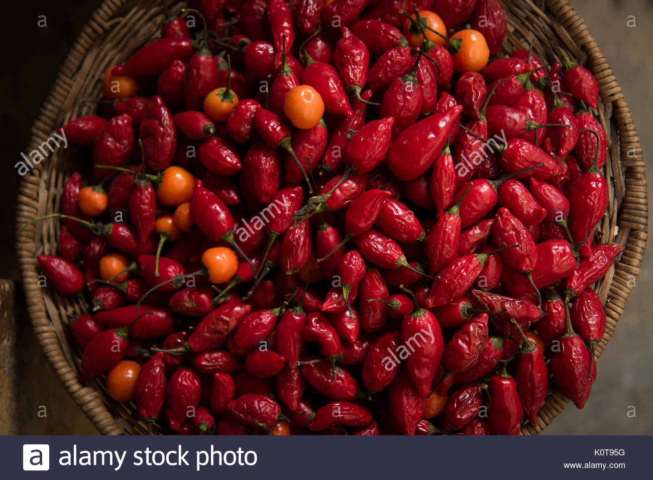 Chilli Seeds In Plant High Resolution Stock Photography and Images - Alamy