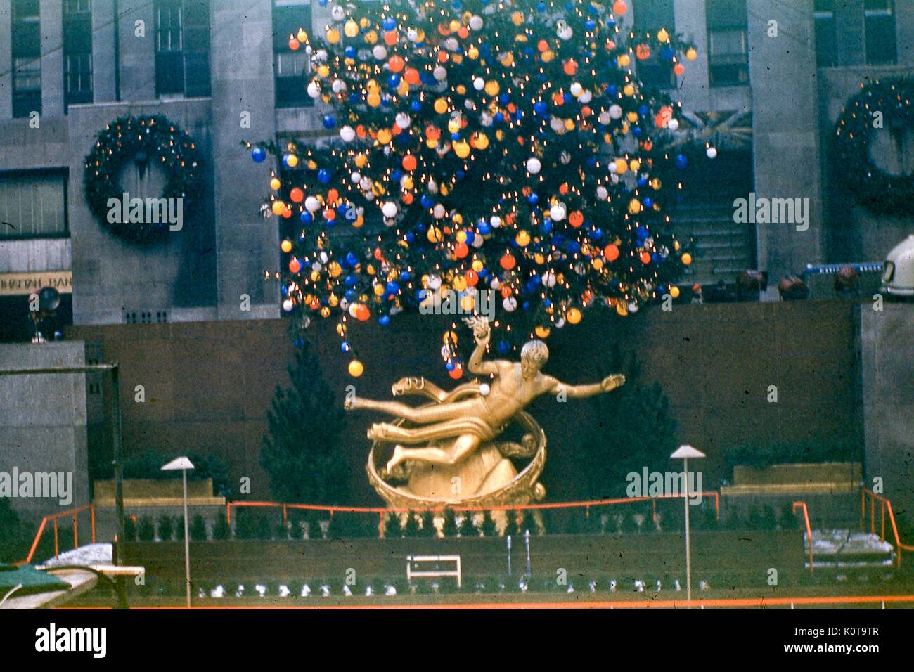 View of Prometheus, the gilded bronze statue by sculptor Paul Manship, reclining beneath the Christmas tree at Rockefeller Center Plaza, midtown Manhattan, New York City, December, 1955. Stock Photo