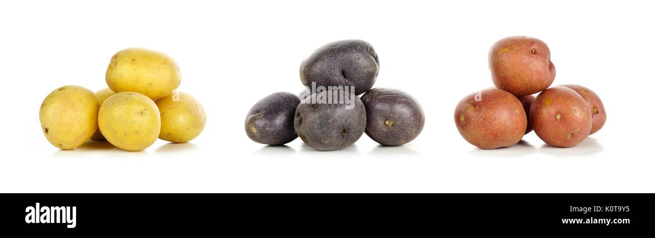 Three piles of yellow, purple and red fresh little potatoes over a white background Stock Photo