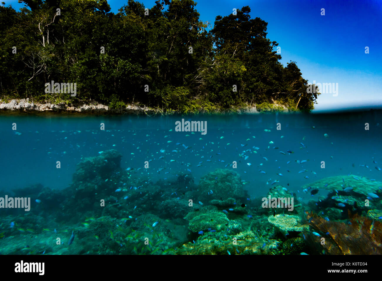 Snorkeling and underwater photography in the karst topography of the Bay of Islands, Vanua Balavu, Lau group, Fiji Stock Photo
