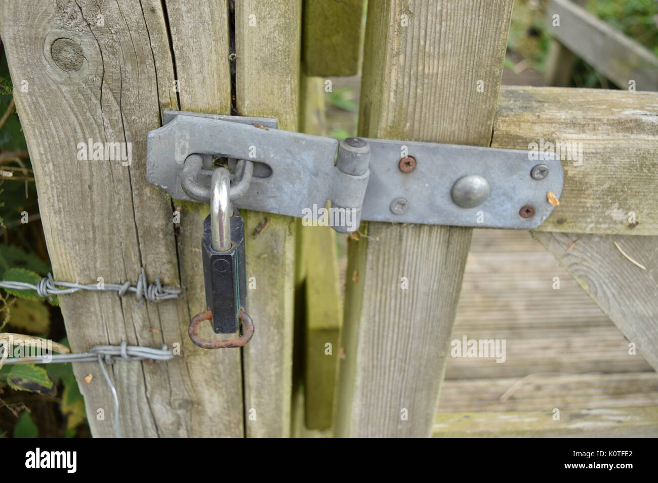 Padlock on a wooden gate Stock Photo