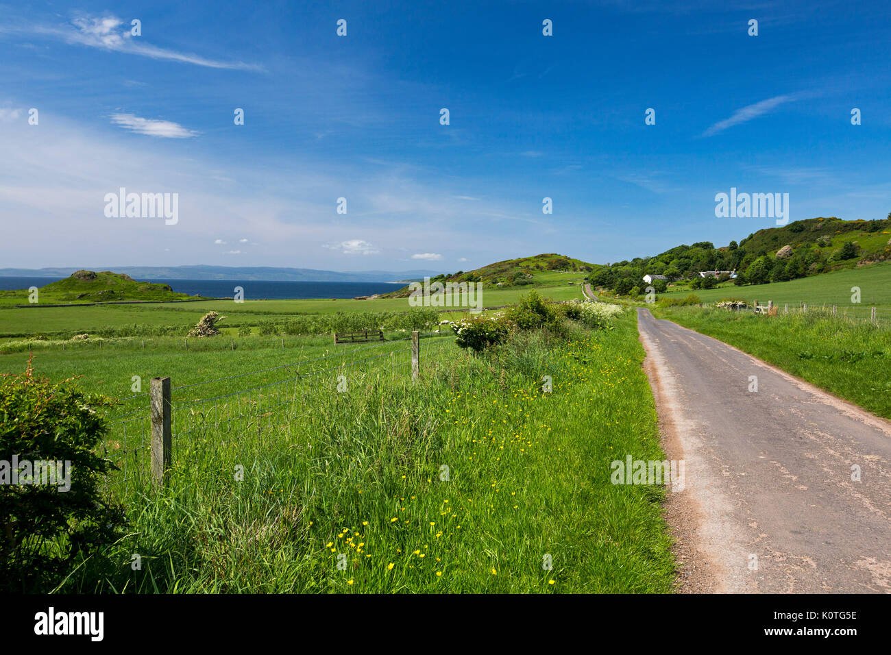 Narrow road slicing through verdant landscape of farmlands & low hills under blue sky on island of Bute, Scotland UK Stock Photo