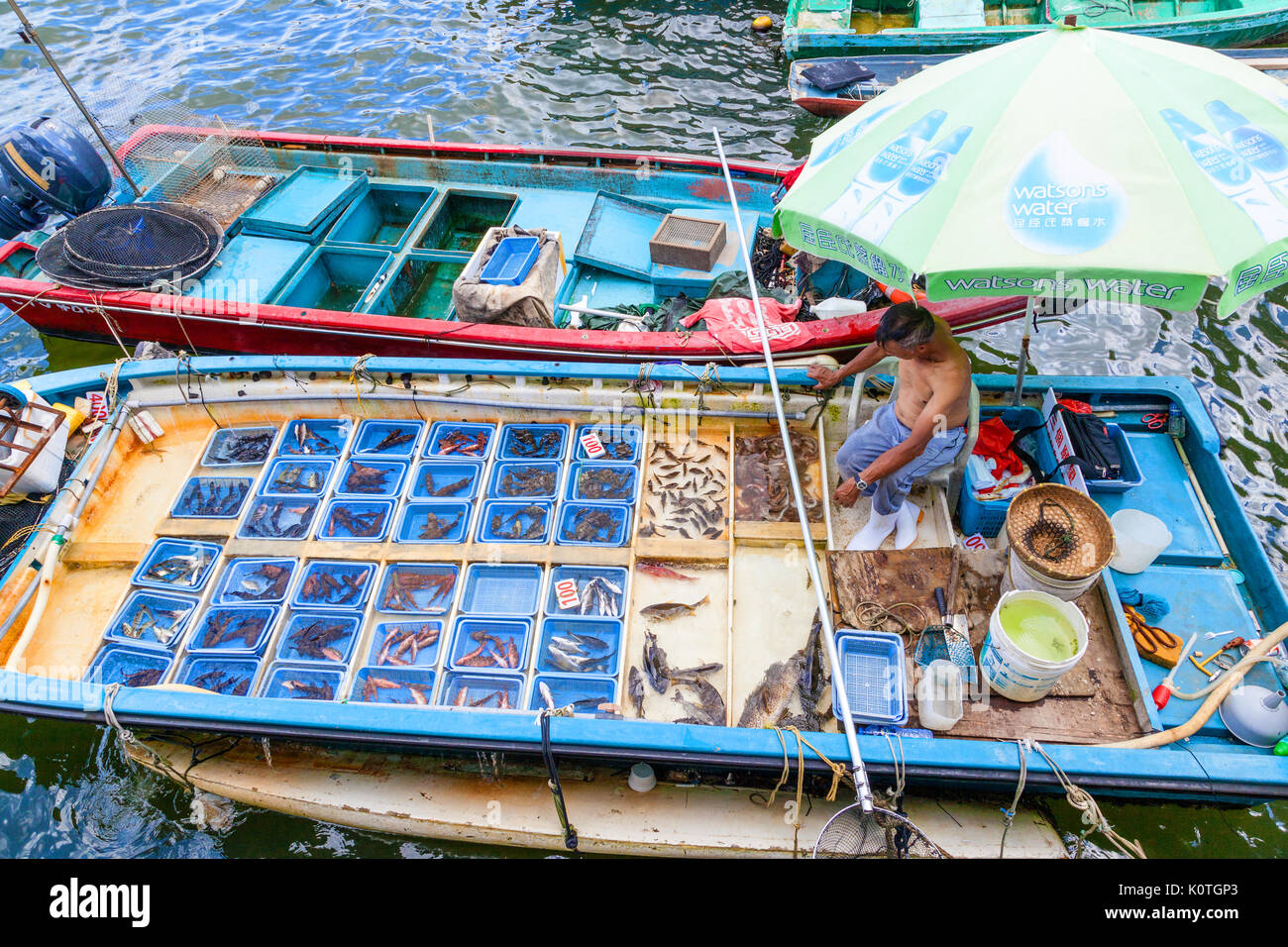 HONG KONG - JULY 13, 2017: A fisherman separates his live seafood catch into plastic containers on a boat at Sai Kung's floating seafood market. Every Stock Photo