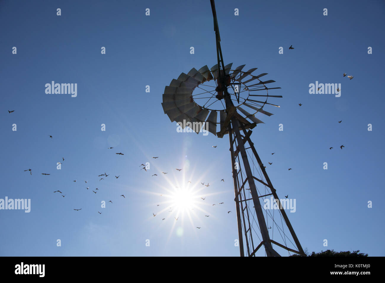 Windmill, burns and sunburst at Collingwood Children's Farm, Richmond, Victoria, Australia Stock Photo