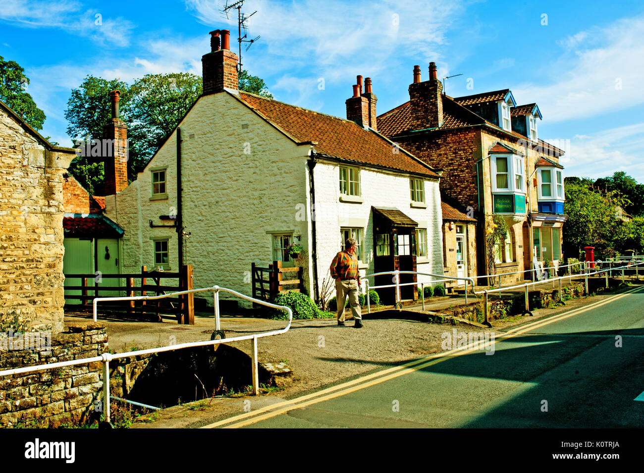 period houses in Thornton Le Dale, North Yorkshire Stock Photo Alamy
