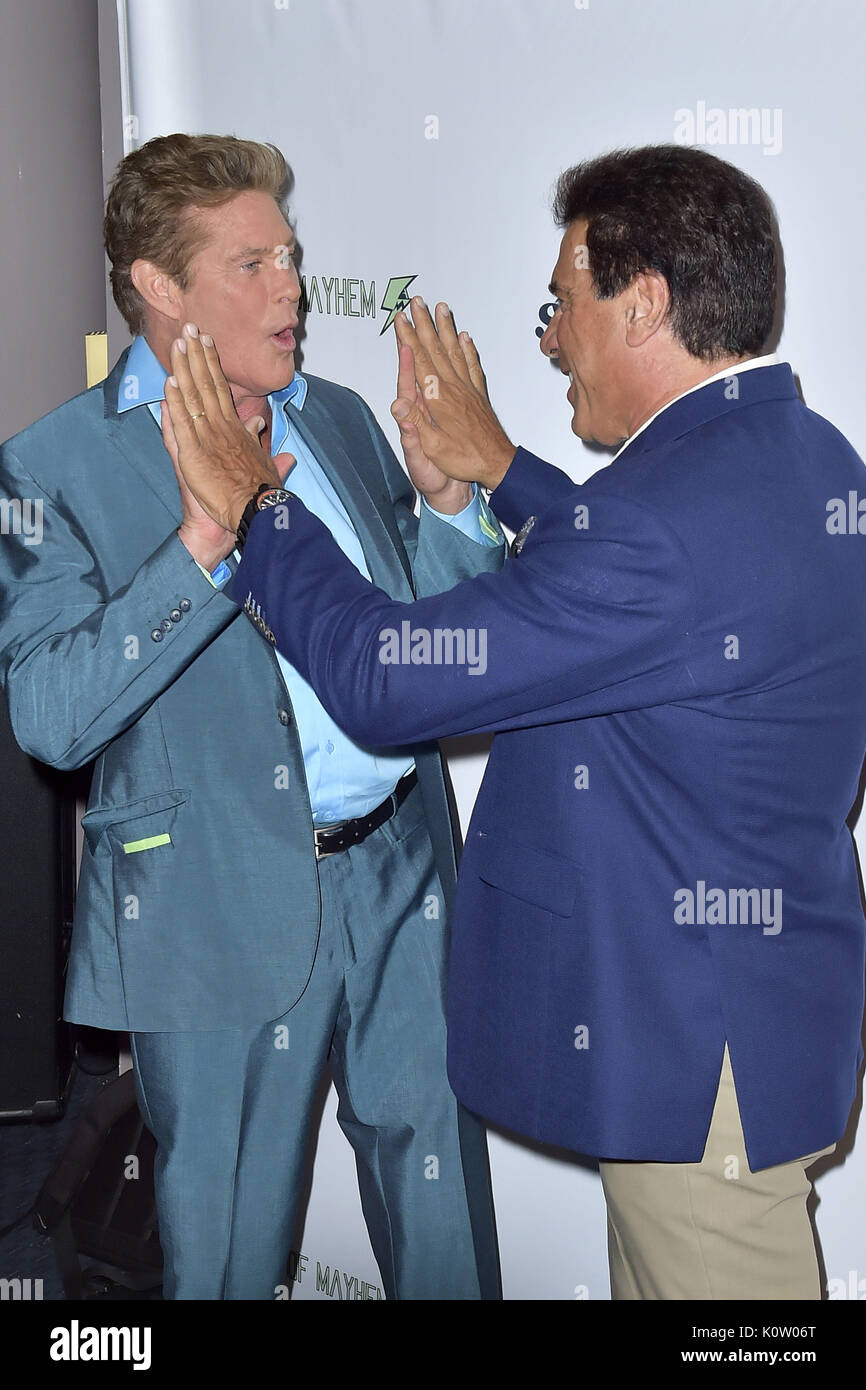 David Hasselhoff and Lou Ferrigno at 'Extraordinary: Stan Lee' event at