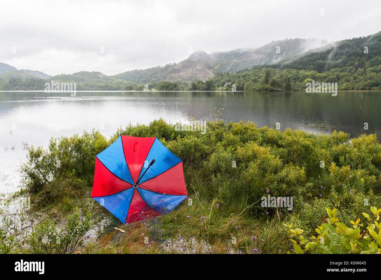 Loch Achray, Loch Lomond and the Trossachs National Park, Scotland, UK. 25th Aug, 2017. UK weather - a day of heavy showers - definitely not a day to lose an umbrella - Loch Achray, a small freshwater loch in the Loch Lomond and Trossachs National Park in Scotland. Credit: Kay Roxby/Alamy Live News Stock Photo