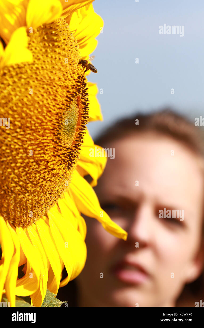 Hill farm in chesterton hires stock photography and images Alamy