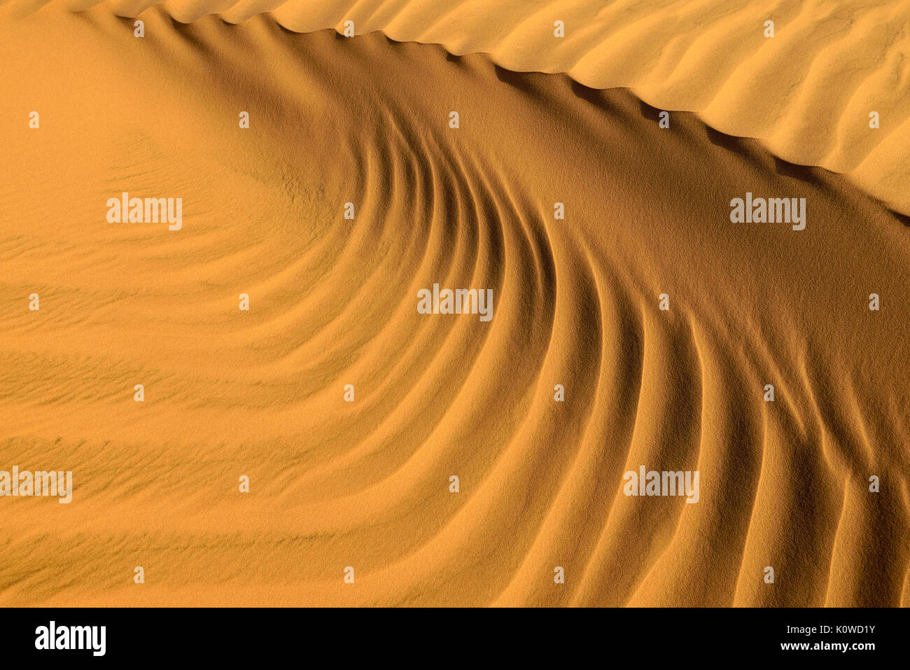 Sand ripples in the sanddunes of Al Khaluf desert, Sharqiyah, Oman, Arabia Stock Photo