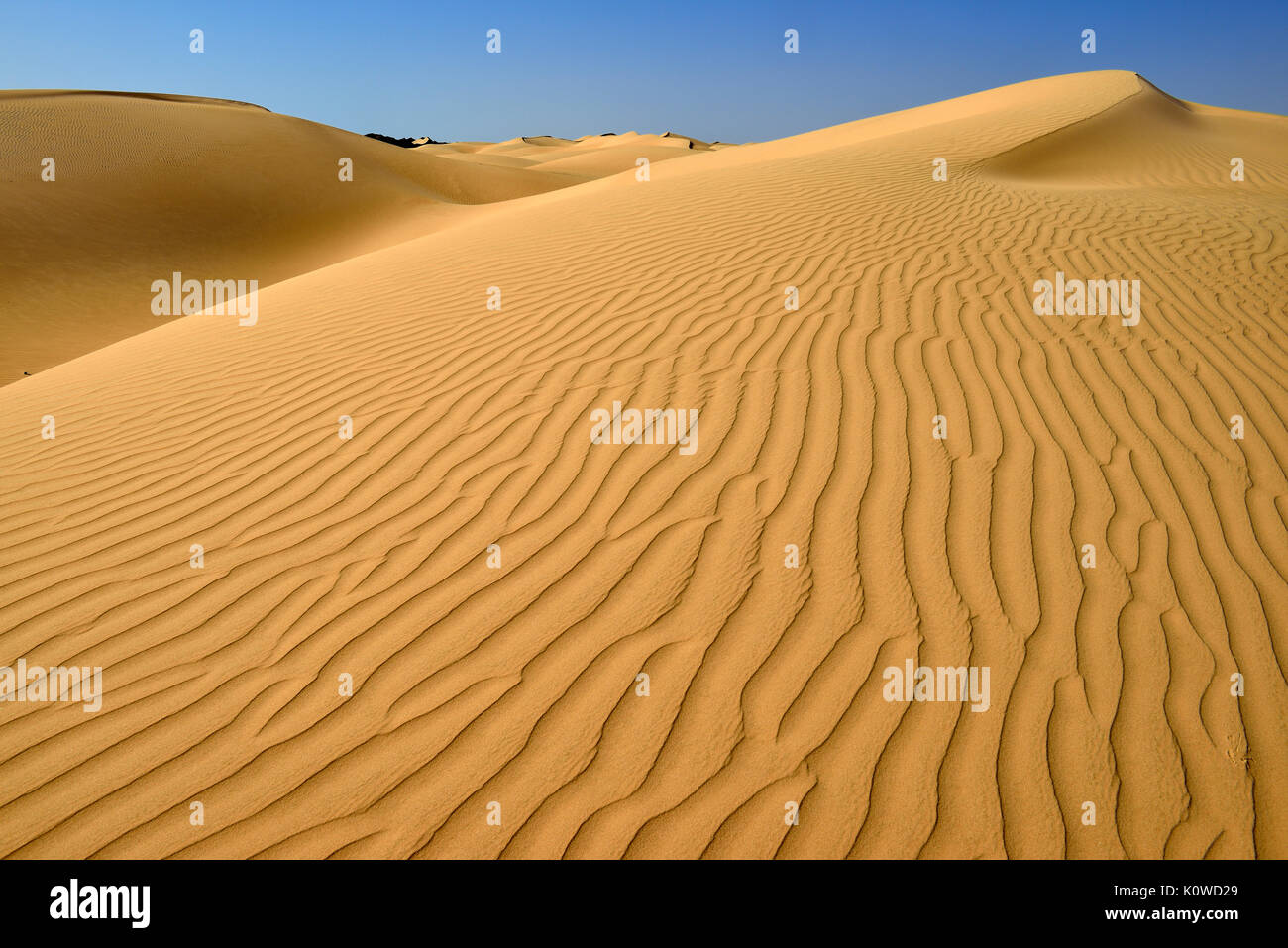 Sanddunes of Al Khaluf desert, Sharqiyah, Oman, Arabia Stock Photo