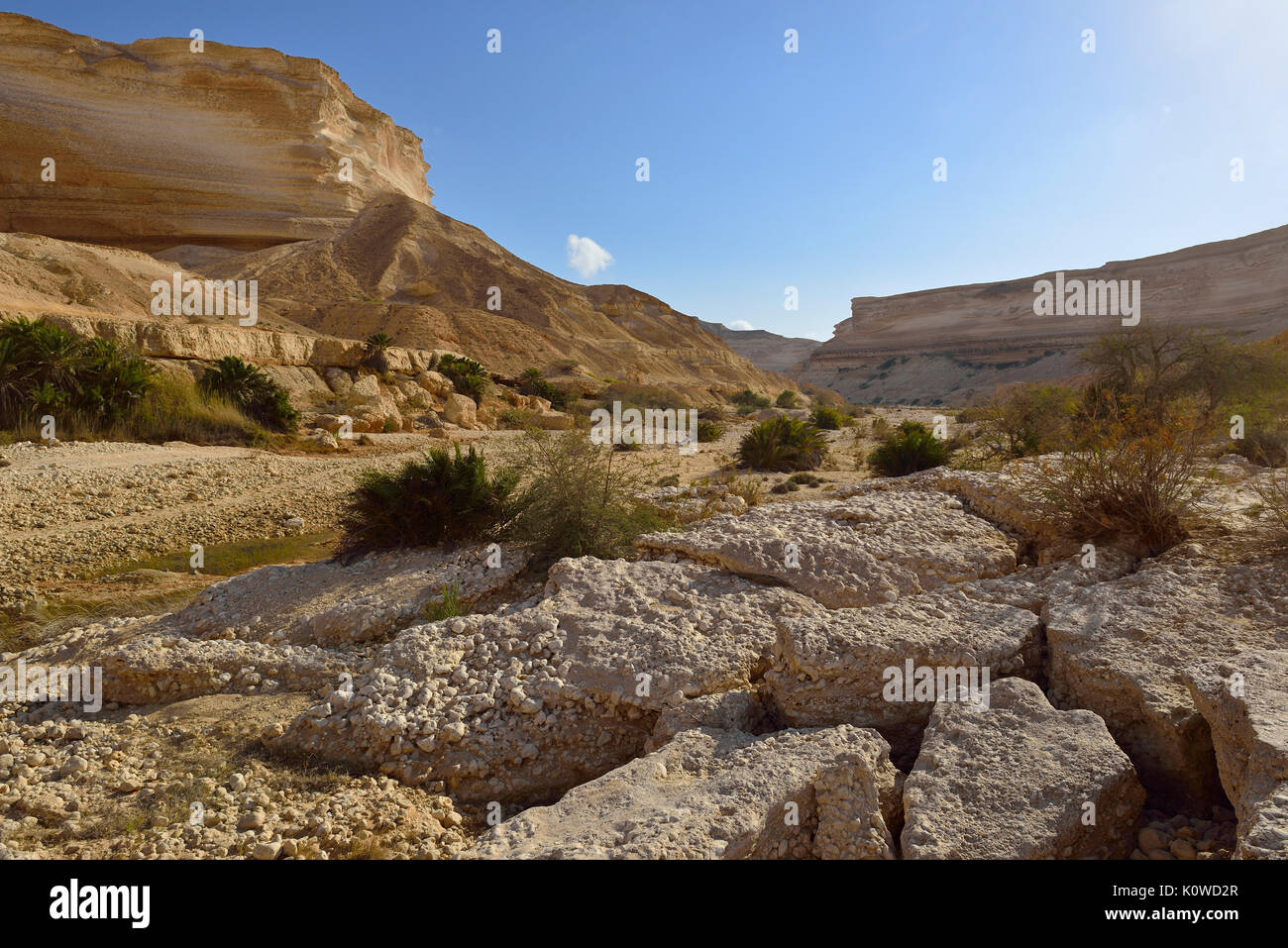 Limestone canyon of Wadi Shuwaymiyah, Dhofar, Oman Stock Photo