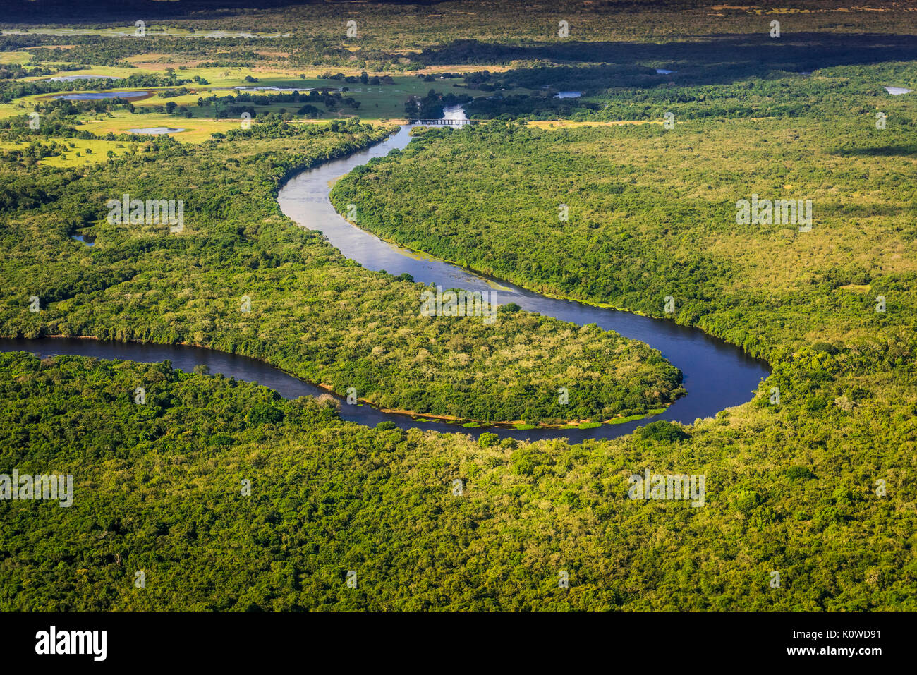 Rio Negro flows through jungle, Pantanal, Mato Grosso do Sul, Brazil Stock Photo
