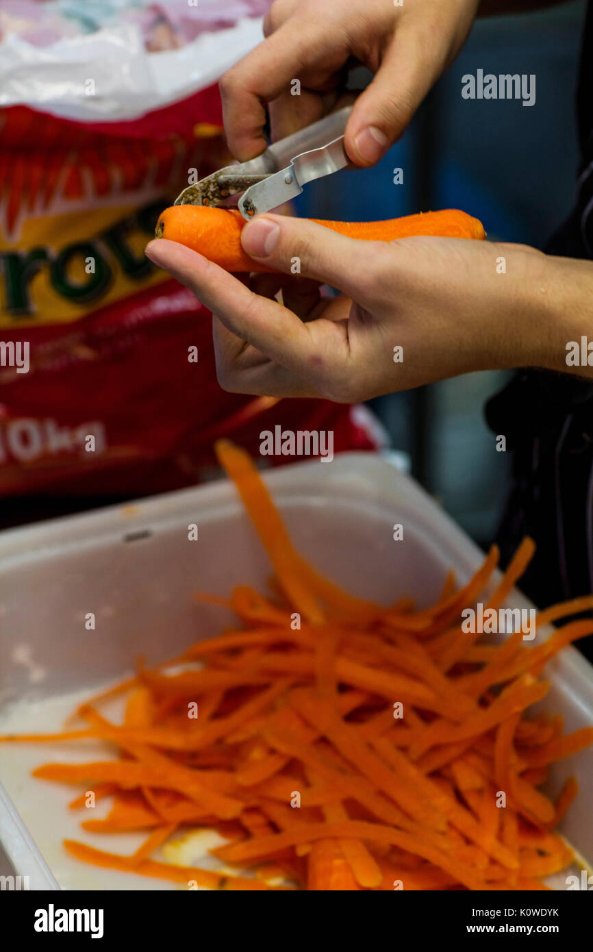 https://c8.alamy.com/comp/K0WDYK/peeling-carrots-K0WDYK.jpg