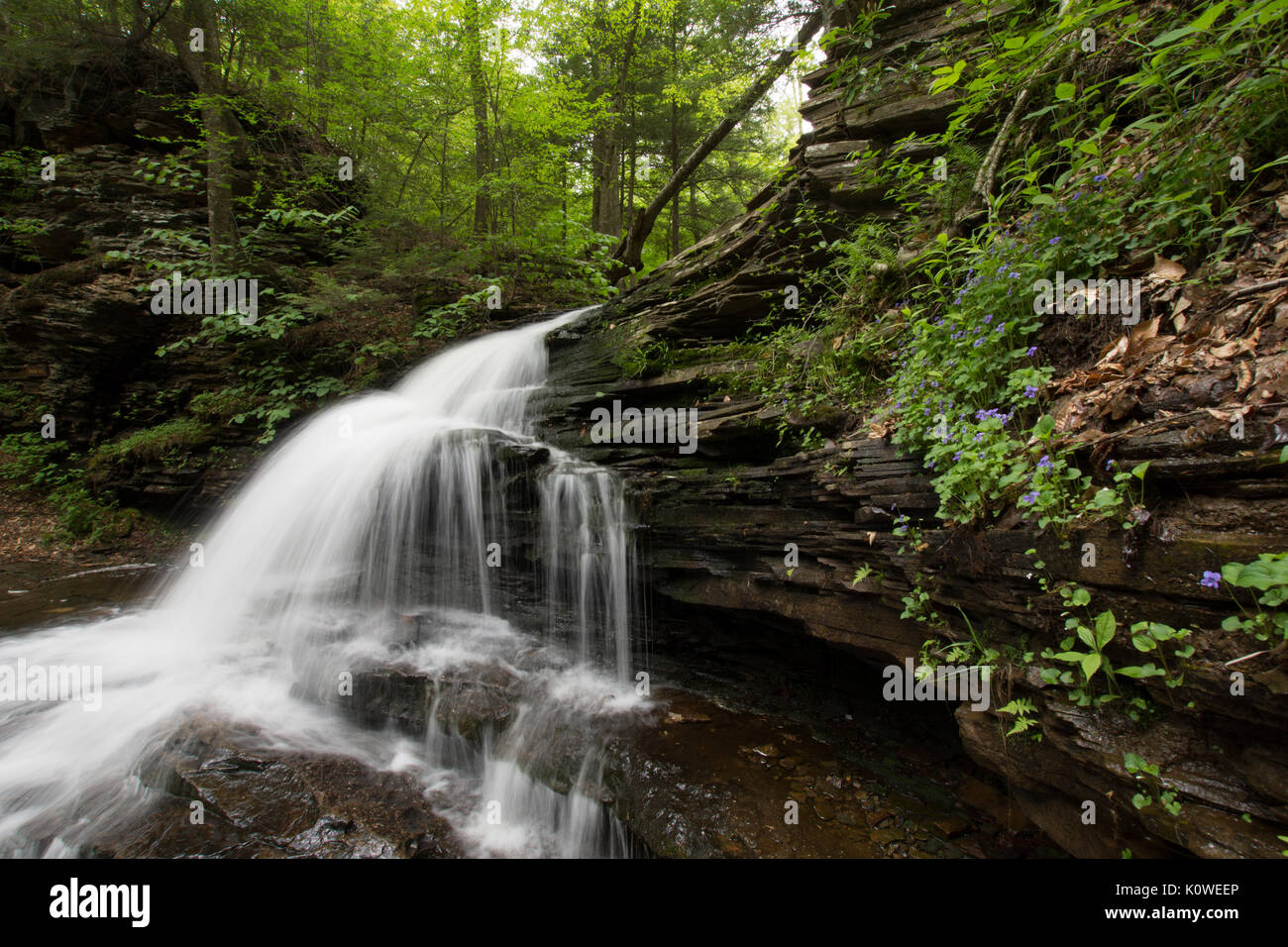 Scenic Waterfall in Ricketts Glen State Park in The Poconos in Pennsylvania Stock Photo