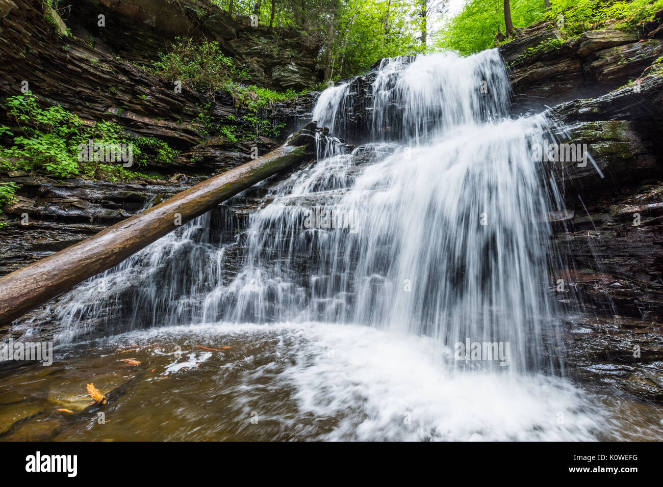 Scenic Waterfall in Ricketts Glen State Park in The Poconos in