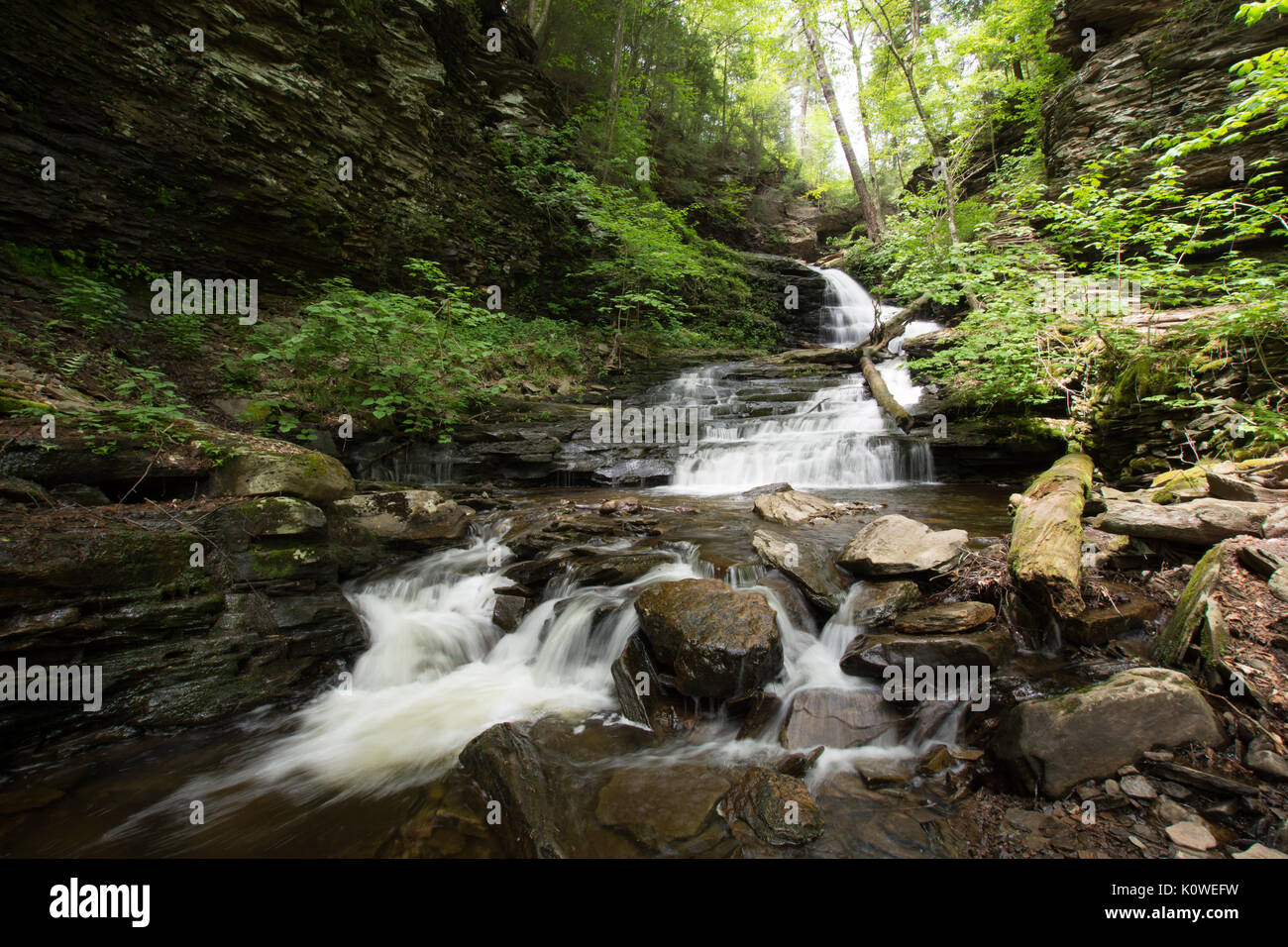 Scenic Waterfall in Ricketts Glen State Park in The Poconos in