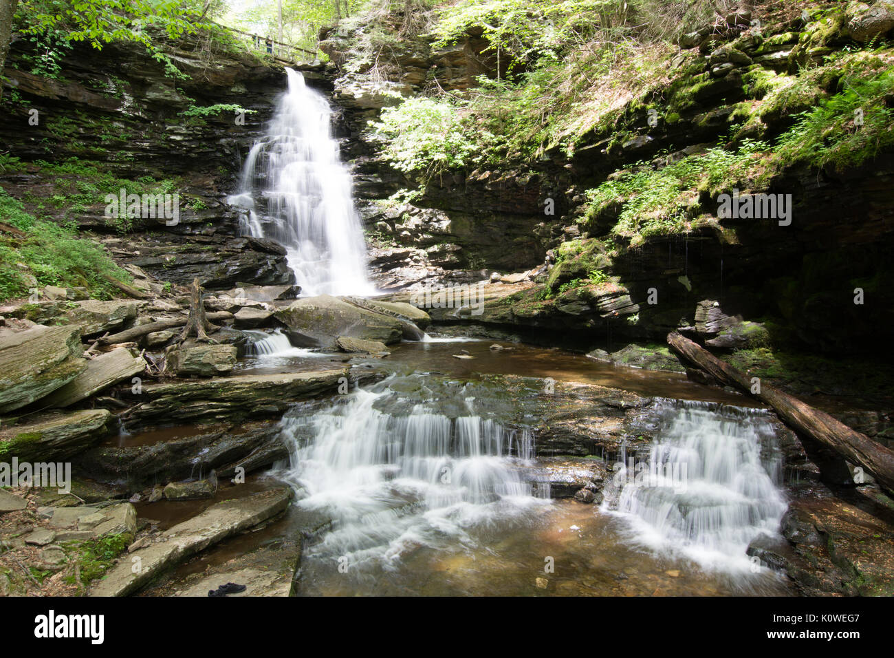Scenic Waterfall in Ricketts Glen State Park in The Poconos in