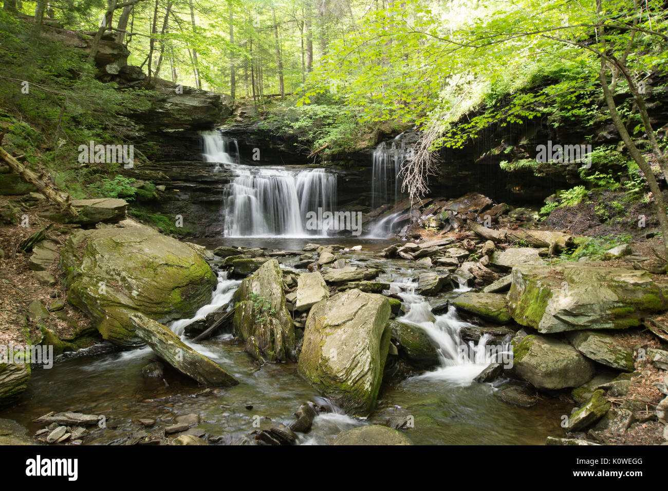 Scenic Waterfall in Ricketts Glen State Park in The Poconos in