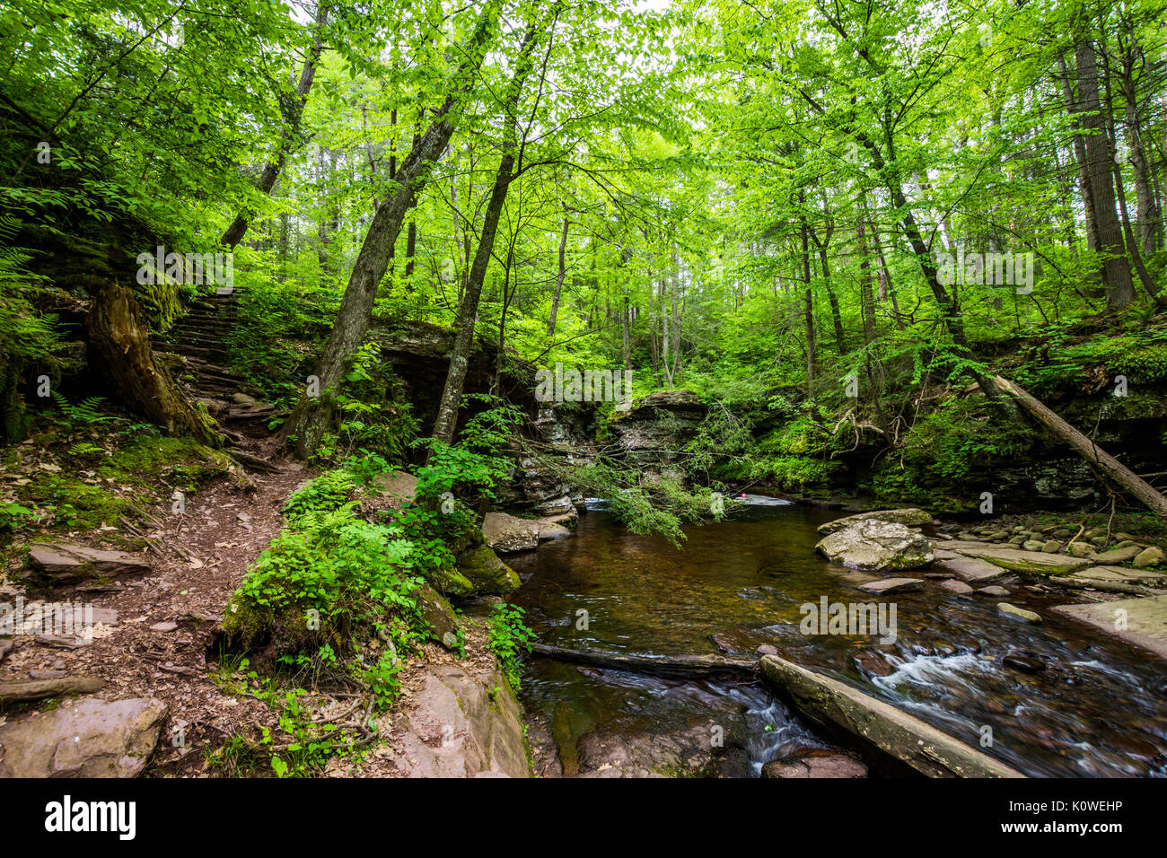 Scenic Waterfall in Ricketts Glen State Park in The Poconos in Pennsylvania Stock Photo