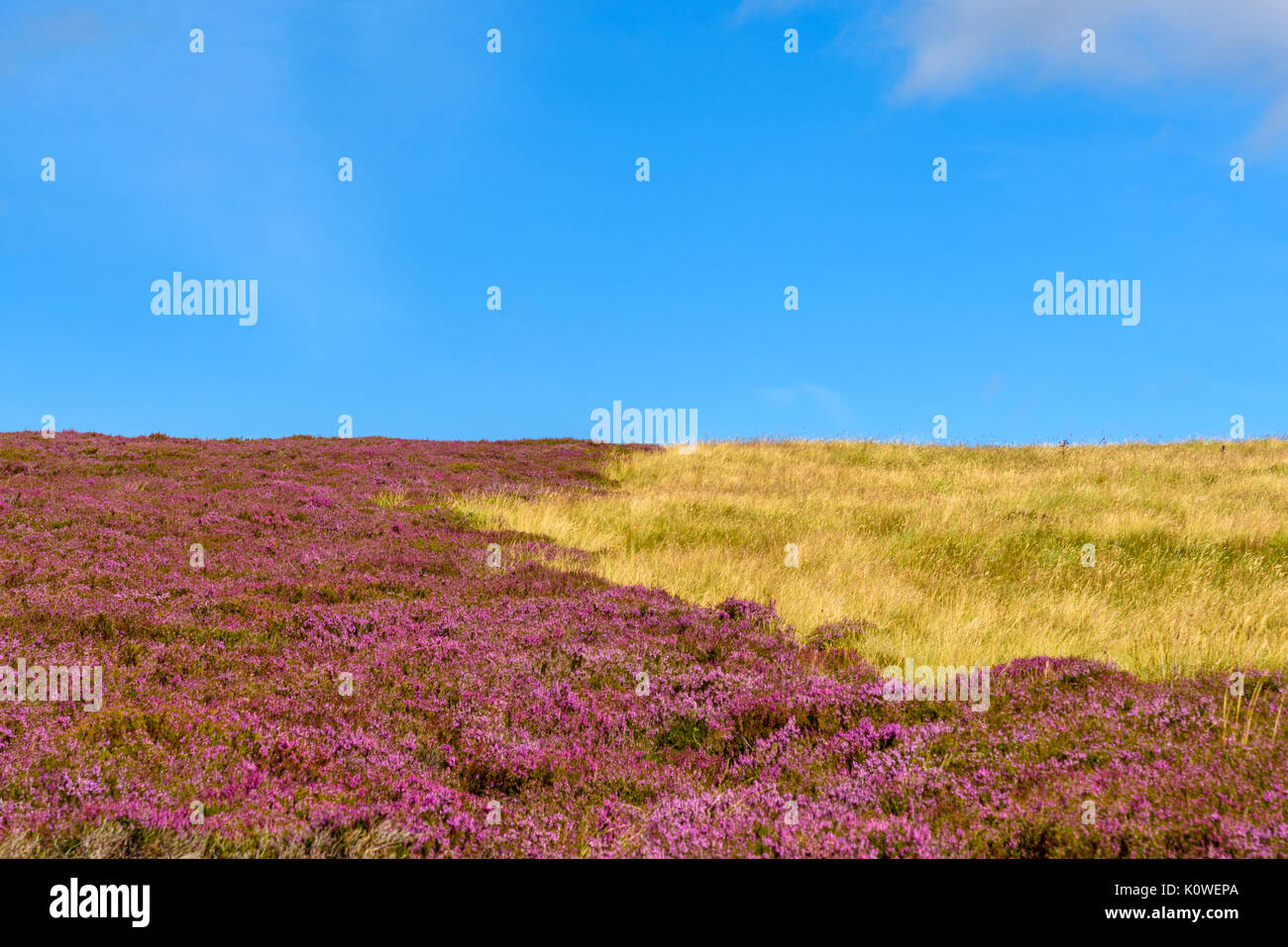 Scenic view of the beautiful nature of Cairgorms National Park in Scotland in summer Stock Photo