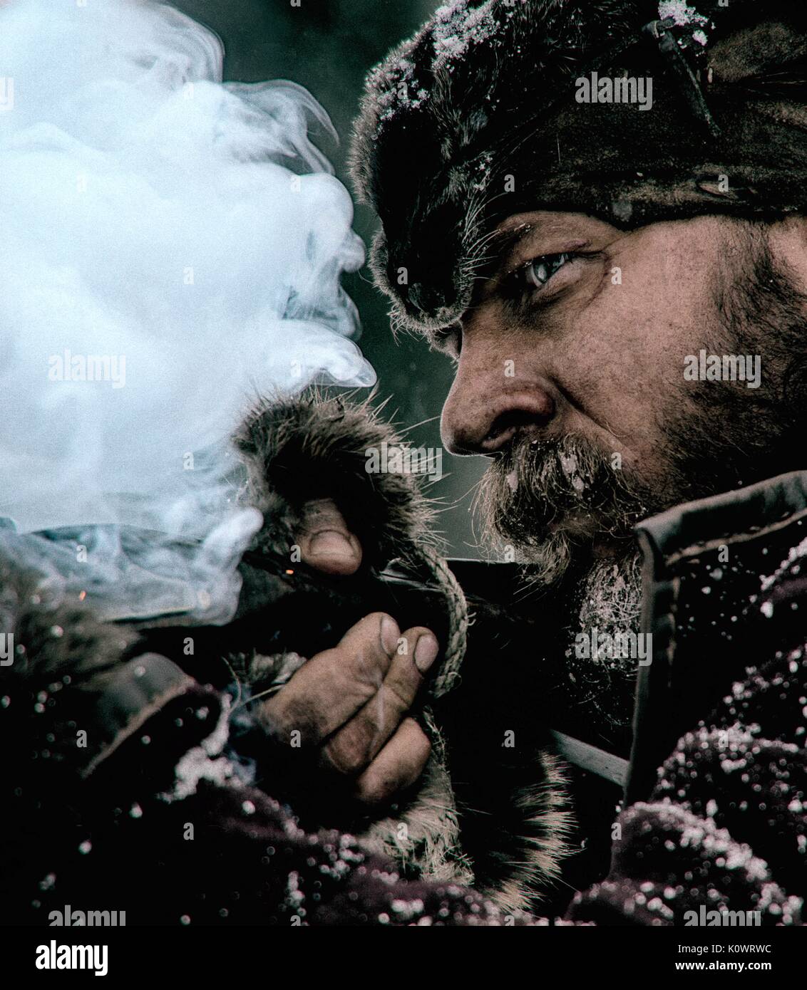 The revenant 2015