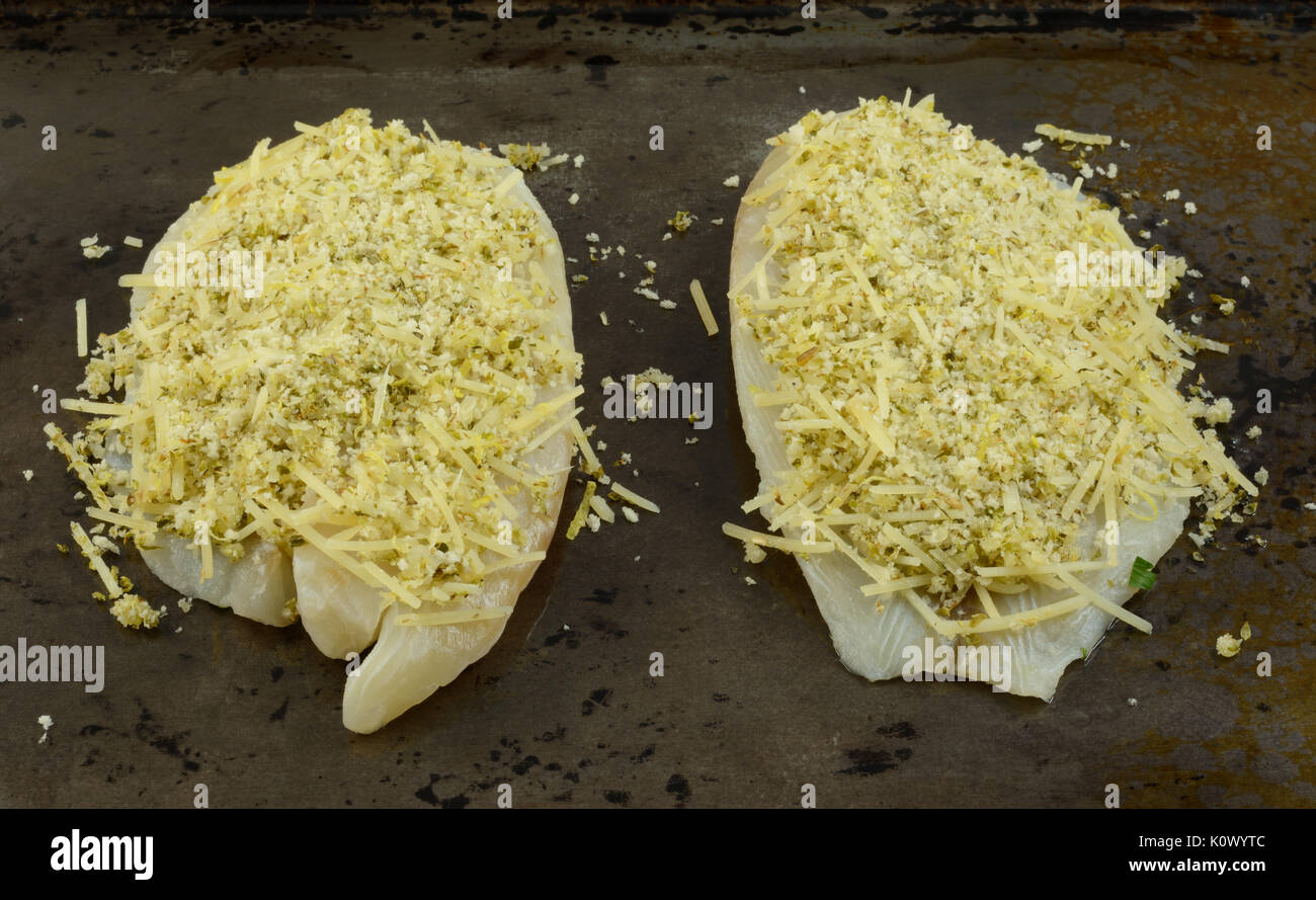 Two raw tilapia fish fillets with parmesan cheese and bread crumb topping on baking sheet Stock Photo