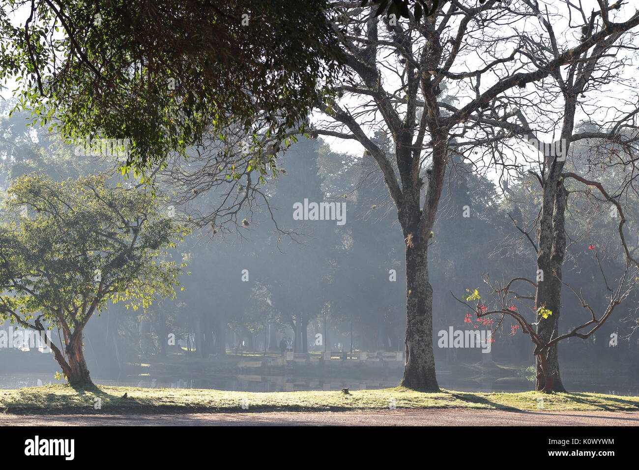 Morning sun at Farroupilha Park in Porto Alegre, Brazil Stock Photo
