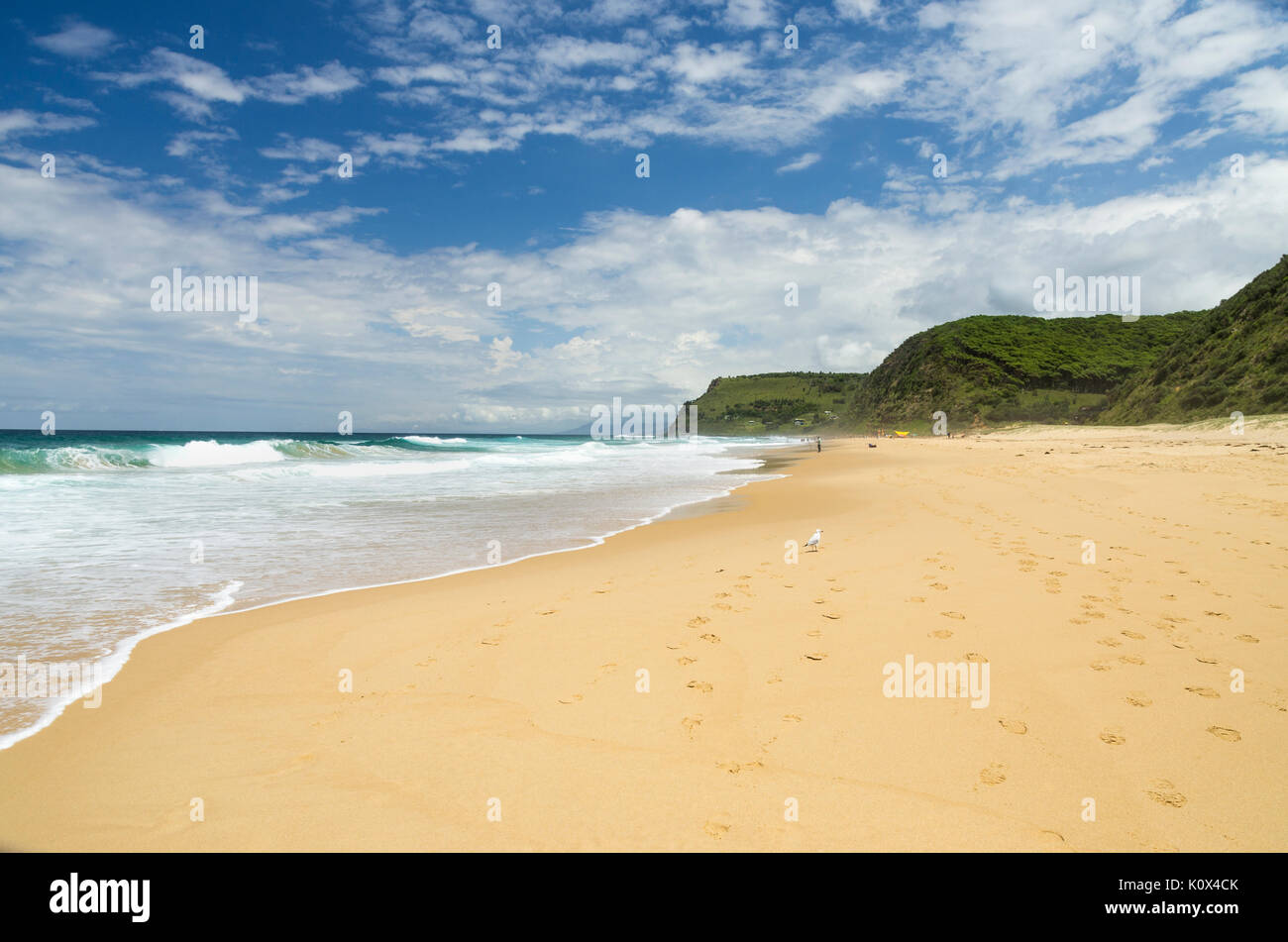 Garie Beach, Royal National Park just south of Sydney, NSW, Australia Stock Photo