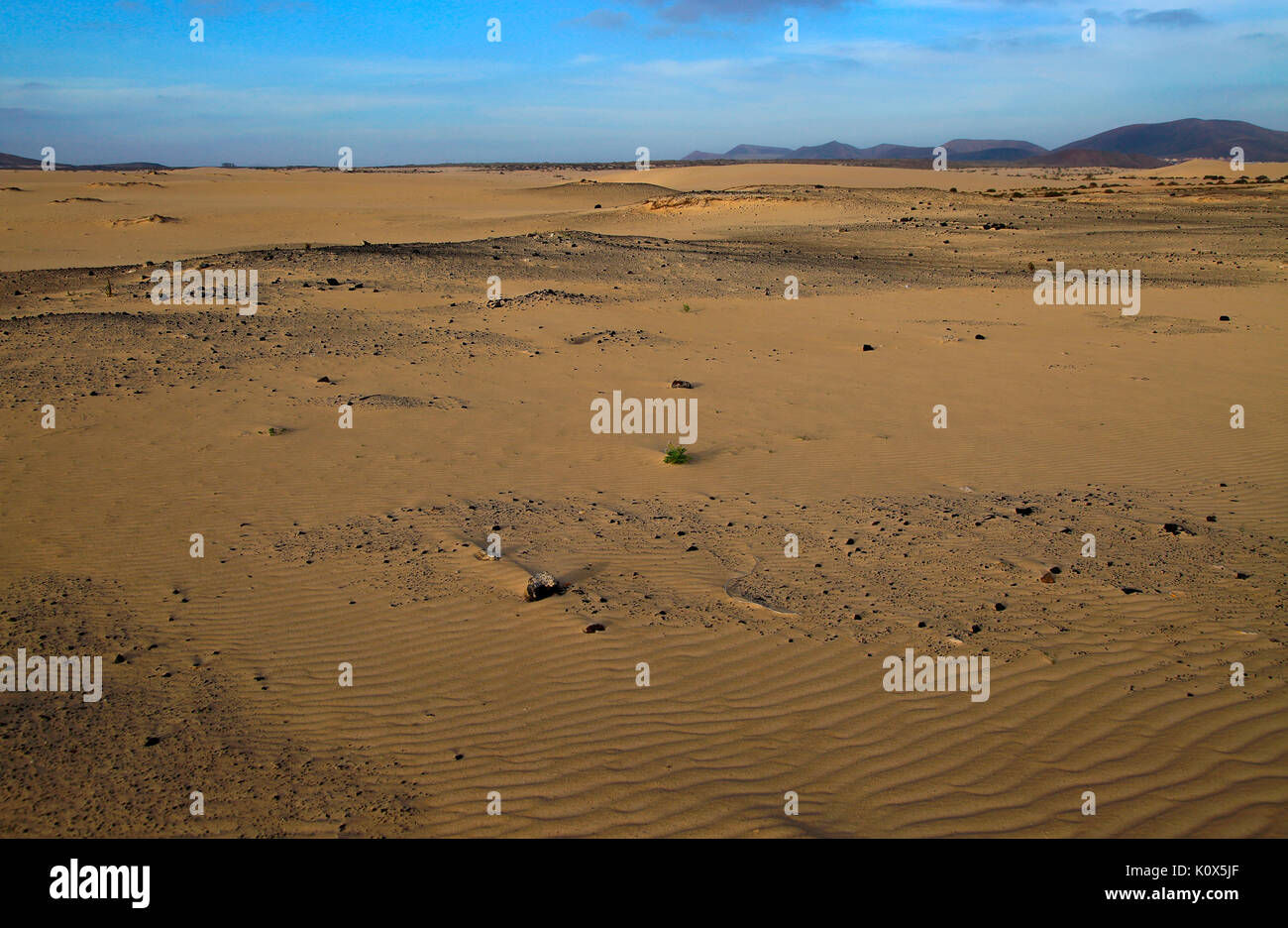 Sand dunes at Las Dunas natural park, Corralejo, Fuerteventura, Canary  Islands, Spain Stock Photo - Alamy