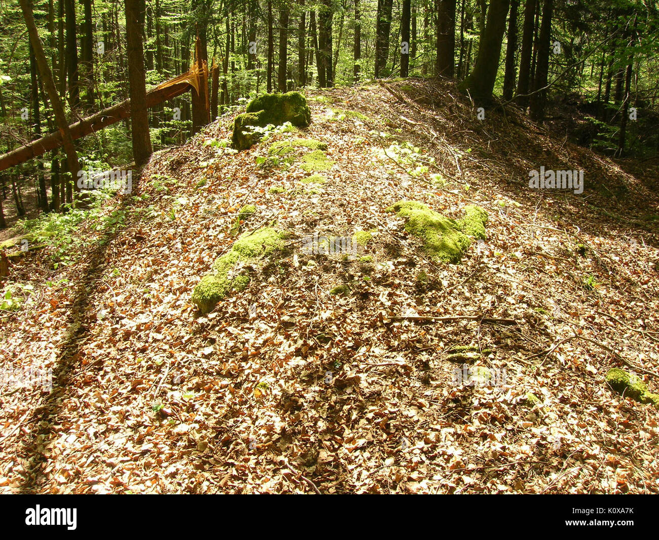 Abschnittsbefestigung Burggraf 01 Stock Photo Alamy