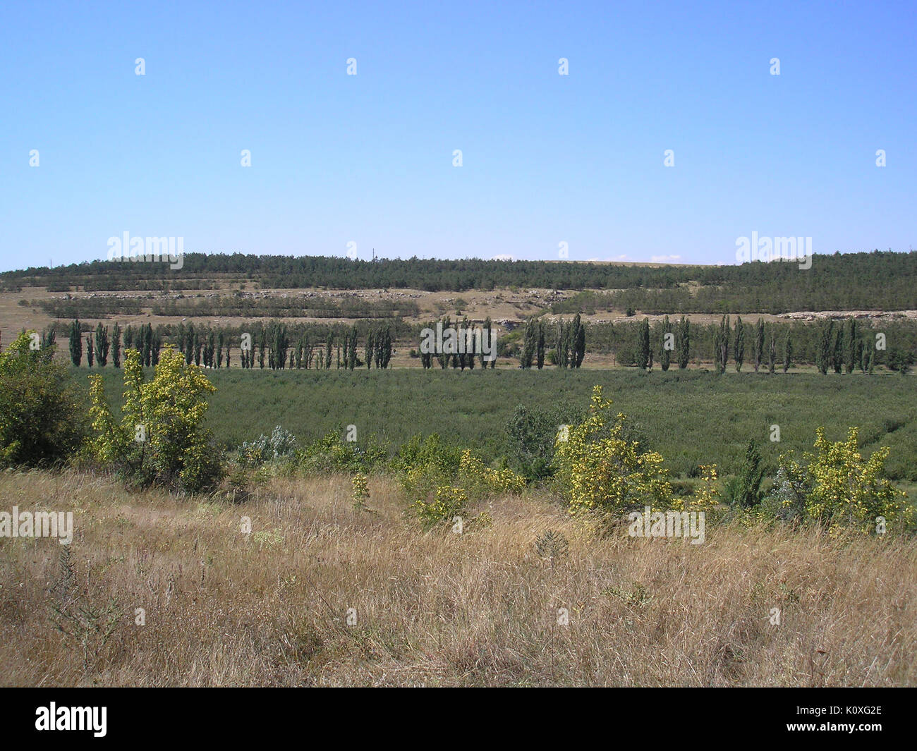 Alma Gardens 1 Stock Photo Alamy