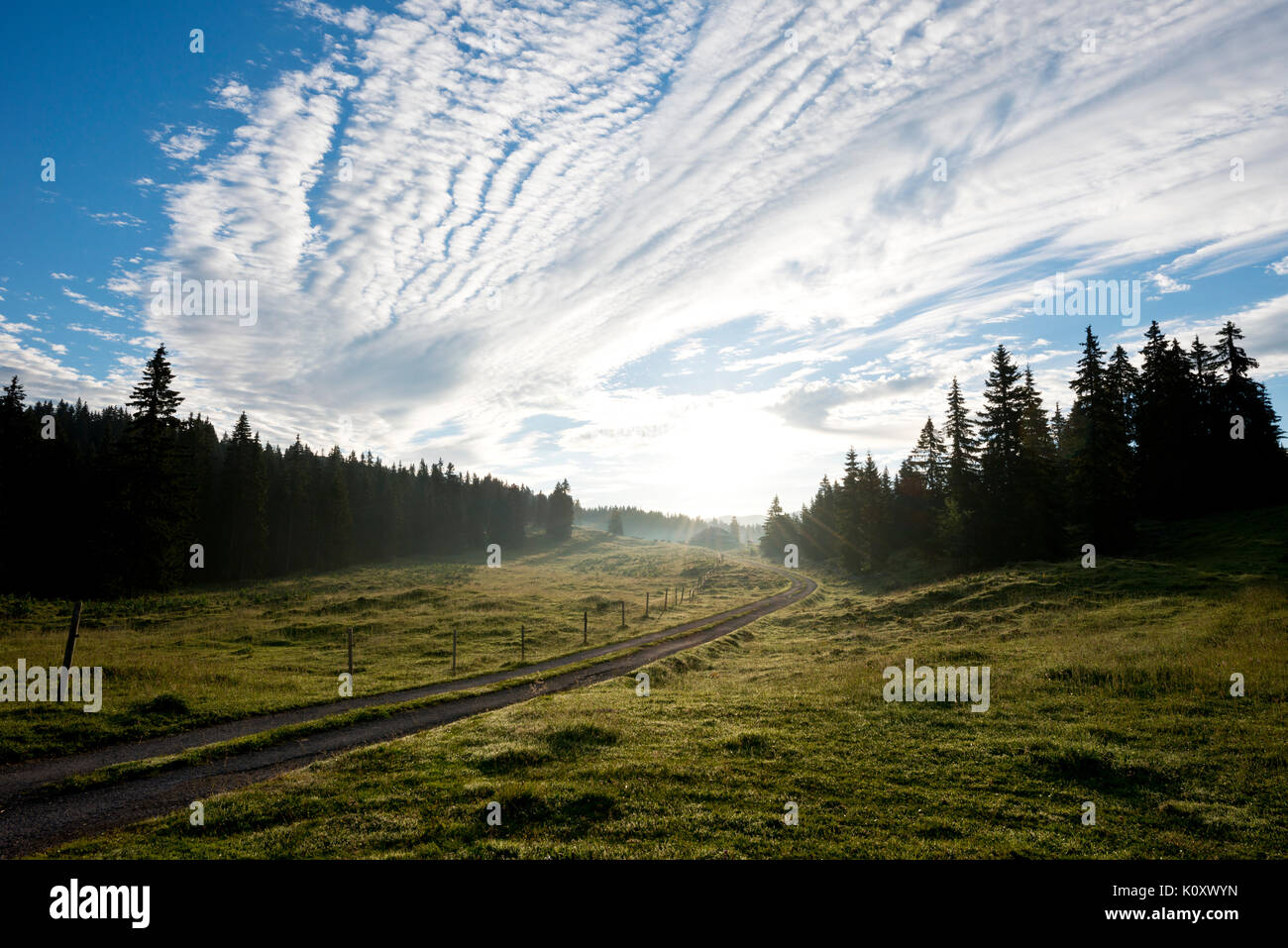 Vd Berg Hi res Stock Photography And Images Alamy vd-berg-hi-res-stock-photography-and-images-alamy