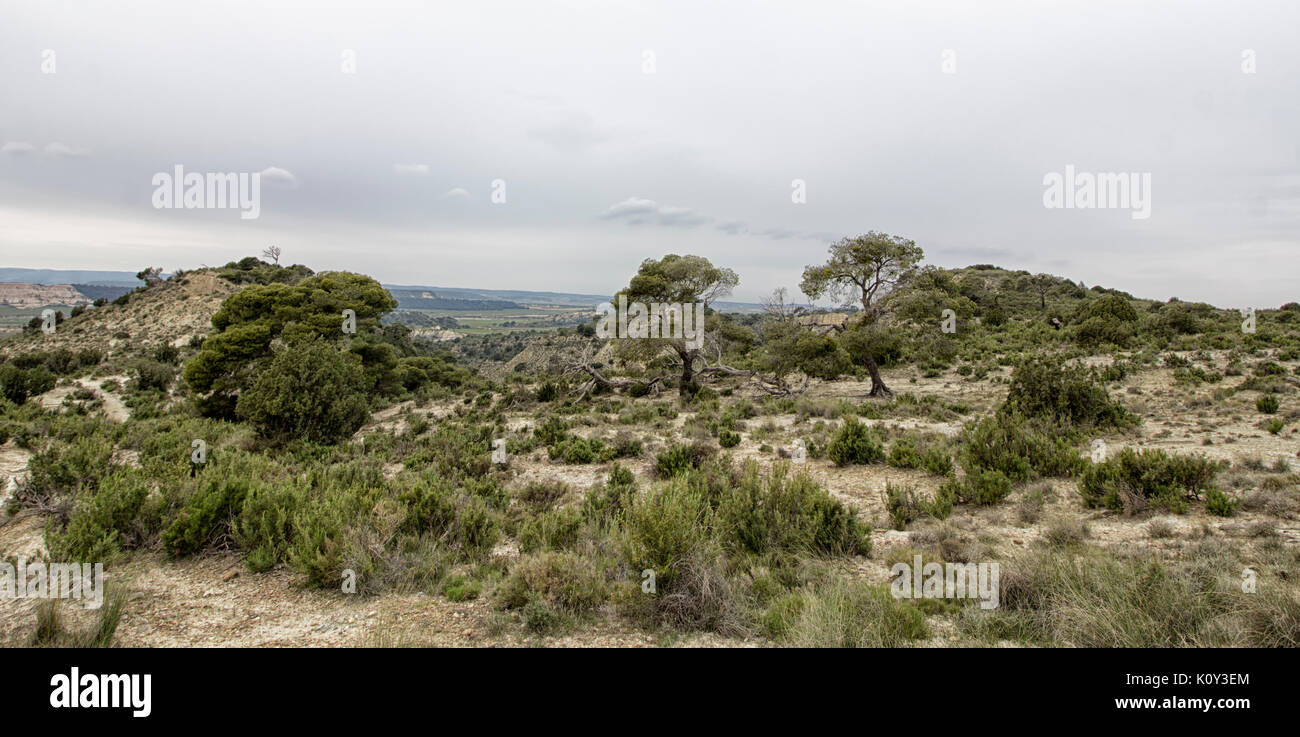 landscape in the desert Stock Photo
