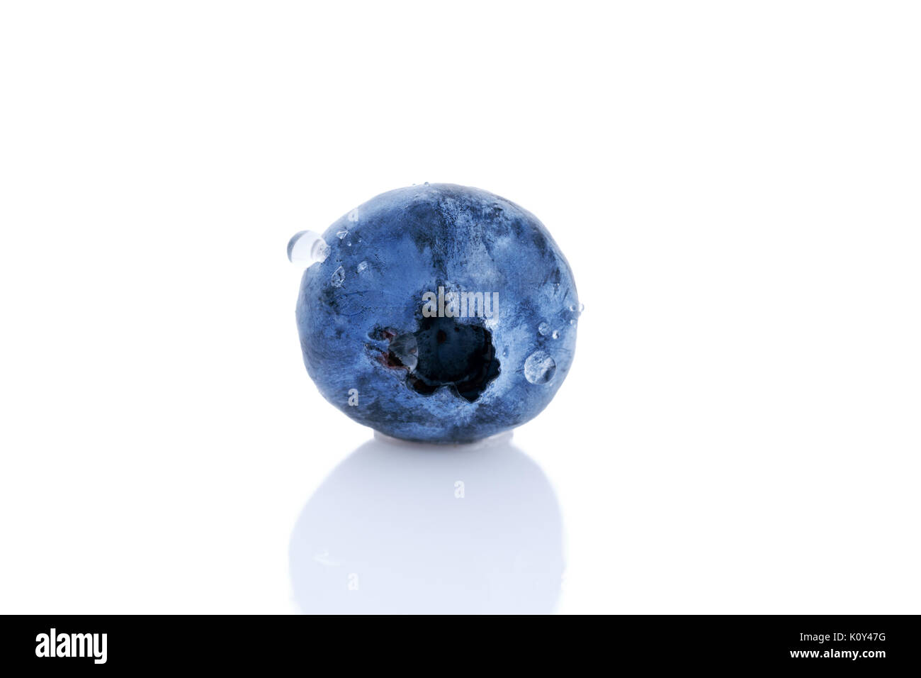 single blueberry isolated on white background Stock Photo