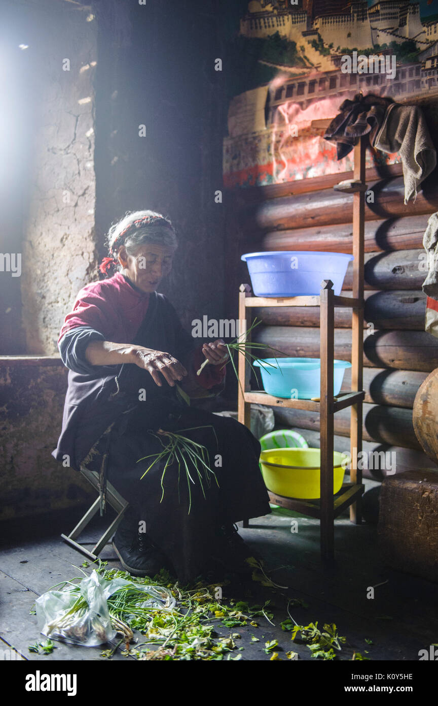 TIbetan woman cleans spring onions,  Laghang, Tibetan plateau Stock Photo