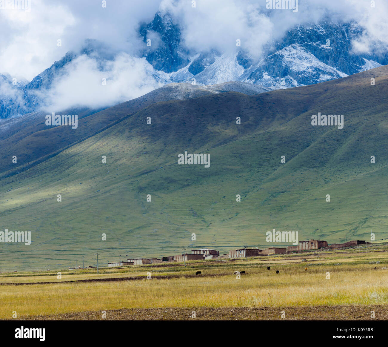 Village with farmland on the Tibetan Plateau Stock Photo