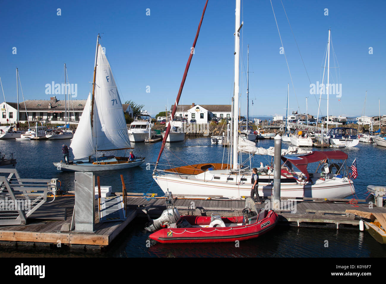 Point Hudson Marina, Port Townsend, State of Washington, USA, America Stock Photo