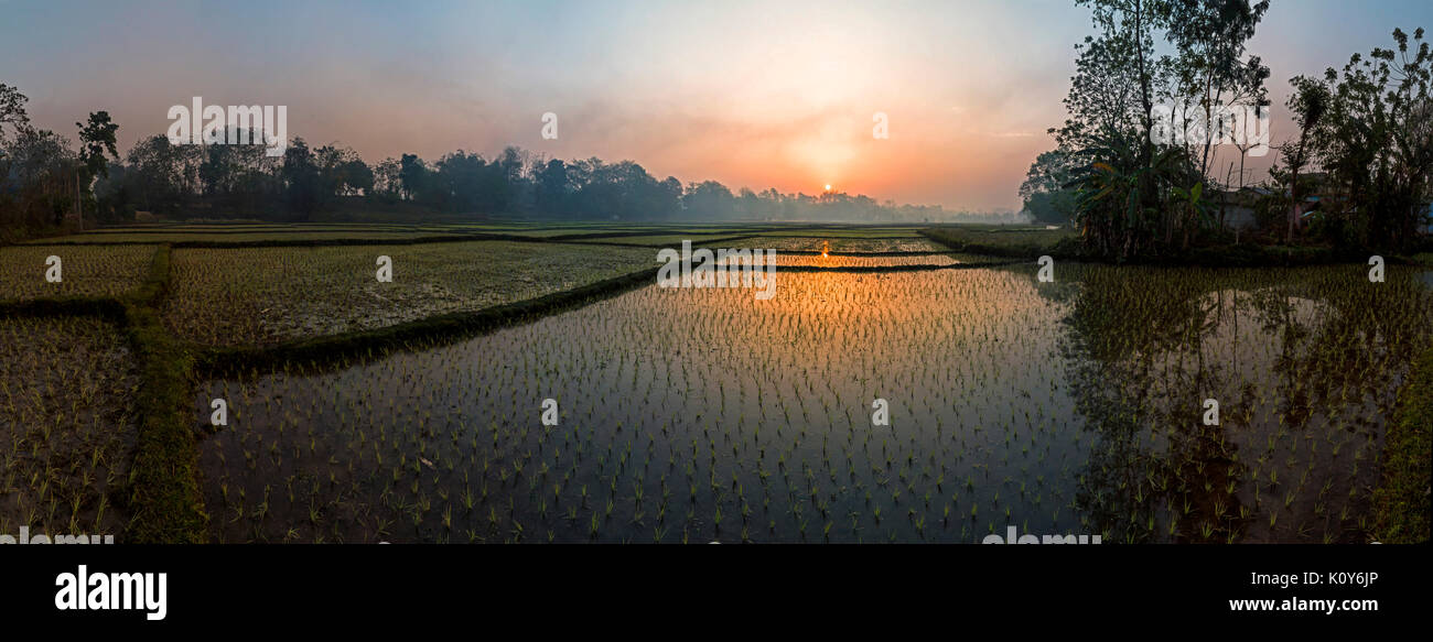 Sunrise over the rice fields in Terai, Nepal Stock Photo