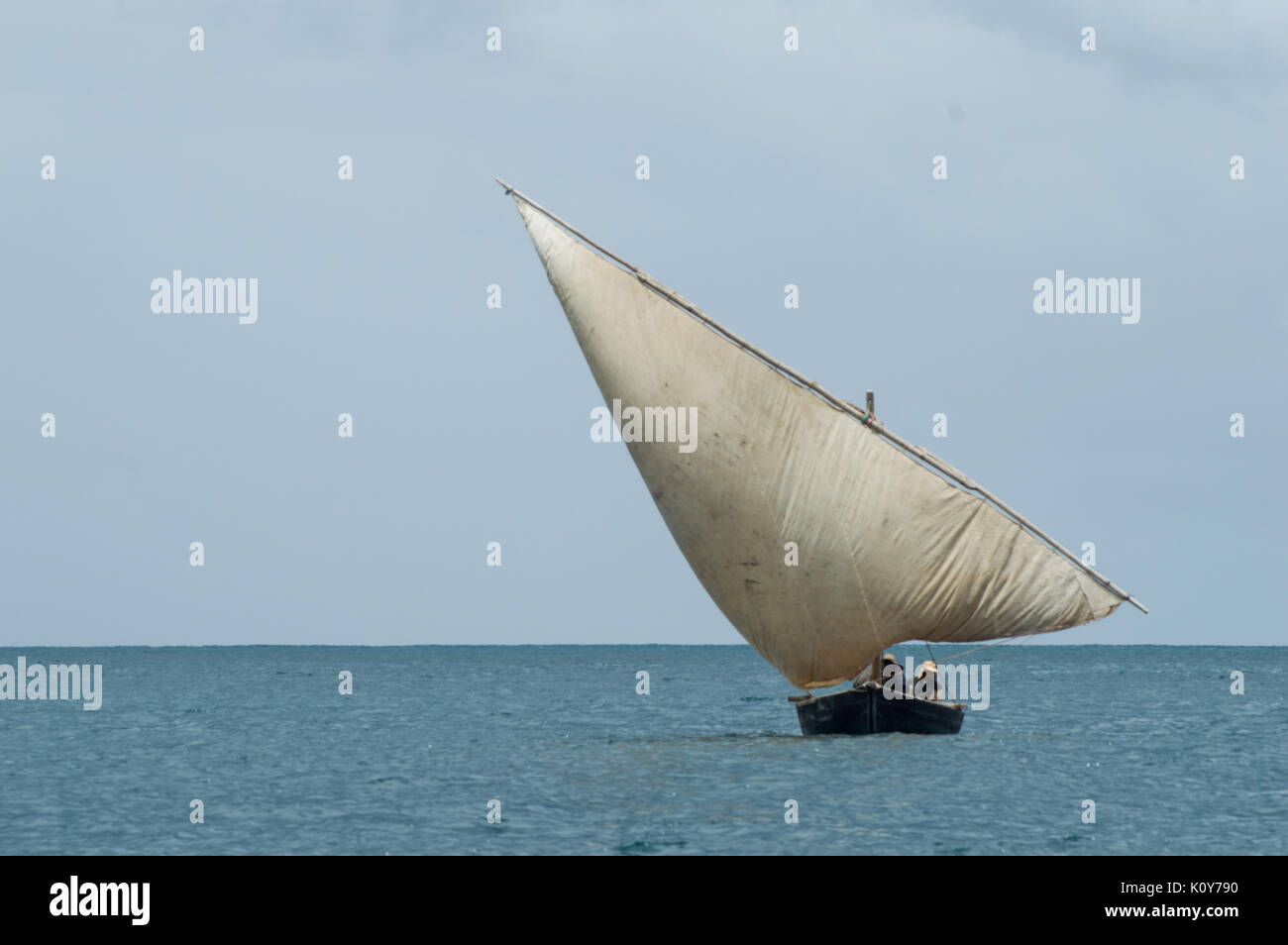 In The Ocean Stock Photo